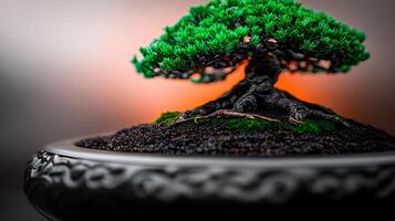 A beautifully detailed bonsai tree in a decorative pot, illuminated by a warm sunset glow photo