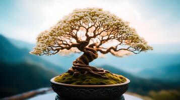 A beautifully twisted bonsai tree adorned with delicate flowers, set against a serene mountain backdrop photo