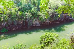 Tranquil river flowing through lush greenery in a serene natural setting during daylight hours photo