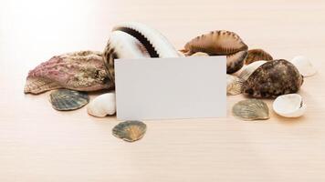 Shells arranged on a wooden surface with a blank card in the center for customizable messages or labels photo