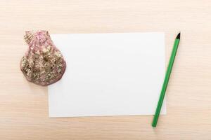 Shell and pencil on blank paper create a creative workspace for artistic expression photo