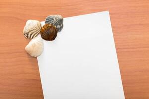 Collection of seashells arranged on a blank sheet of paper on a wooden surface showcasing nature's beauty and creativity photo