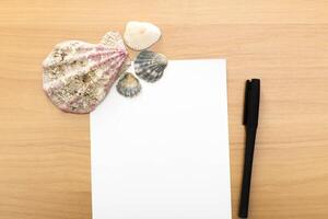 Writing with seashells for inspiration on a wooden table during afternoon photo