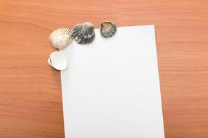 Simple white paper with seashells placed on a wooden surface in a coastal setting during daylight photo
