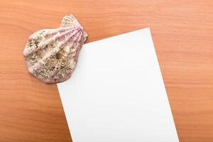 Shell resting next to blank paper on a wooden surface inviting creativity during a quiet afternoon photo