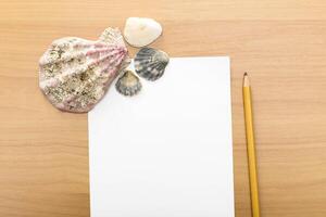 Shells and pencil placed next to blank paper on wooden table evoke a sense of creativity and inspiration photo