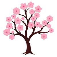 Pink Sakura Tree Displayed on White Background vector