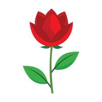 Beautiful Red Flower Displayed on White vector