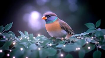 A colorful bird perched on a branch adorned with glowing lights in a serene, blurred background photo