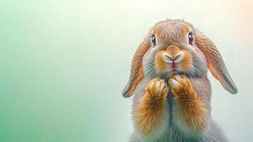 A cute rabbit with soft fur and expressive eyes, posing with paws together against a soft gradient background photo