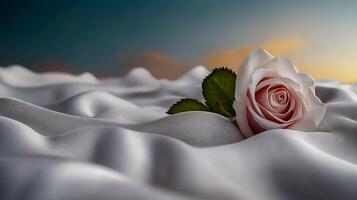 A delicate pink rose resting on soft white fabric with a serene sunset background photo