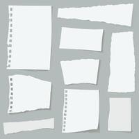 Set of torn-sheets-of-paper realistic paper-strips collection. vector