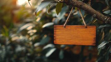 Blank wooden sign hanging on tree branch. photo