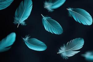 Turquoise feathers floating on a black background with glitter. photo