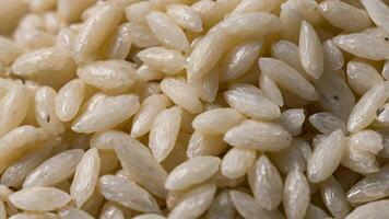 Close Up of Uncooked White Rice Grains photo