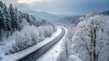 Snowy Highway Winding Through a Winter Forest bird eye view photo