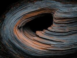 Close up of a weathered tree trunk with a dark hole in the center, showcasing the wood grain and texture photo