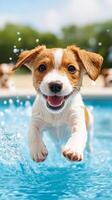 Puppy Day background showcasing a playful scene of puppies splashing in a shallow pool with bright sunlight and water droplets sparkling in the air photo