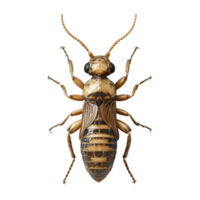 hyper realistic 3D termite with intricate body details, showcasing its unique features and textures. This depiction highlights fascinating anatomy of this insect png