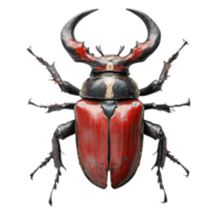 high detail 3D horned beetle with striking red and black colors, showcasing its impressive horns and intricate body structure. This beetle stands proudly, highlighting its unique features and png