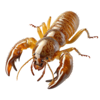 hyper realistic 3D lobster with intricate details and vibrant colors, showcasing its claws and body structure. This stunning representation highlights beauty of marine life png