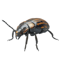 detailed 3D model of ground beetle showcasing its intricate features and vibrant colors. This realistic representation highlights beetle unique anatomy and texture png
