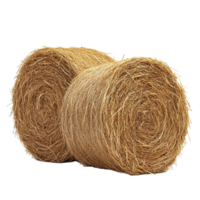 Two bales of hay on a Transparent background png