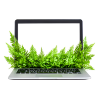 Laptop with Fern Leaves Creating Nature Technology Connection png