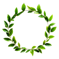 Green Leafy Wreath Circular Frame on png