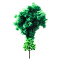 Green Smoke Cloud Emerging from Lush Tree on png