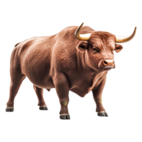 Realistic Brown Bull Standing on Transparent Background png