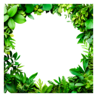 Lush Greenery Frame Design Ideal for Nature-Themed Presentations png