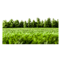 Lush Green Grass Field with Dense Tree Line in Background png