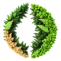 Nature Inspired Green Design with Ferns and Leaves Arrangement png
