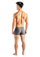 Athletic Male Model Posing in Gray Underwear from the Back View png