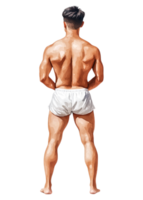Young Man Standing Back in White Shorts on Isolated Background png