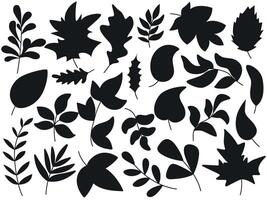 Variation of different monochrome leaves in silhouette vector