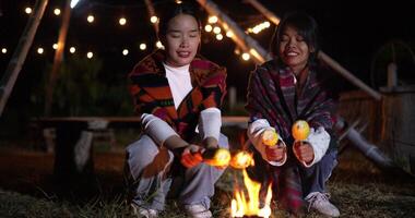 Handheld shot, Two Asian siblings enjoy talking and grilling corn while sitting around a warm campfire on a chilly evening. video