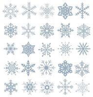 Collection of snowflakes isolated on b background. Nice element for Christmas banners, cards. Set of organic and geometric snowflakes. vector