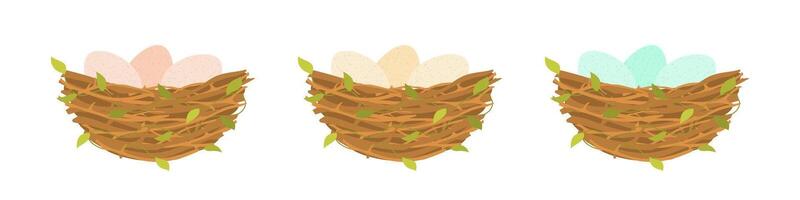Birds wild nest with eggs. Branches and leaves collected together for laying and hatching chicks with nature design vector