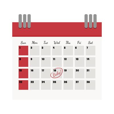 Pregnancy Calendar.Calendar with circled date. Pregnancy concept.