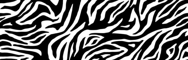 Zebra fur stripe skin, animal pattern. Texture black and white seamless background vector