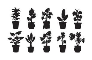 Minimalist flower composition in vases vector