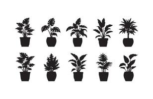 Modern artistic flower vases with blooms vector
