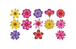 Decorative Petal Elements for Art Projects vector