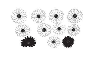 Beautiful Blossom Patterns for Designers vector