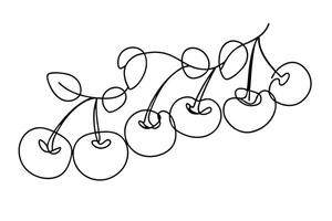 Continuous Line Art Drawing of Cherries, Fruit, Branch, Stems vector