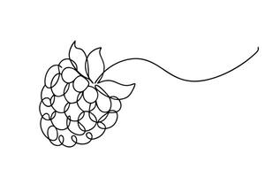 Single Line Raspberry Sketch Berry, Fruit, Nature, Drawing, Art, Minimalist, Design, Graphic, vector
