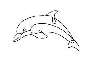 Elegant SingleLine Dolphin Drawing Ocean Mammal Art vector