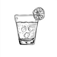 Drink with ice, citrus slice in glass isolated illustration painted by black inks. Etching drawing of lemonade, mojito cocktail, tequila beverage, aromatic cold water. Food element for menu vector